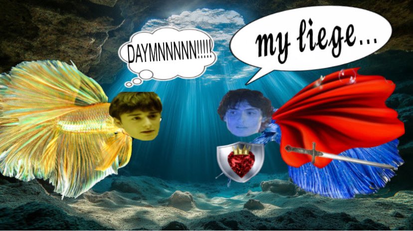 muddy🐠⋆.˚ | bubblernation ceo 🫧 tweet media