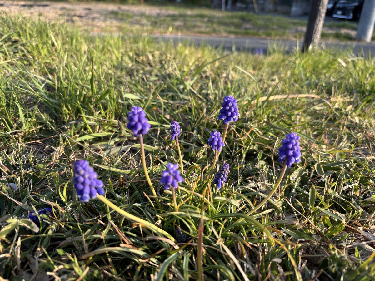 ZZy（じーじい） tweet media