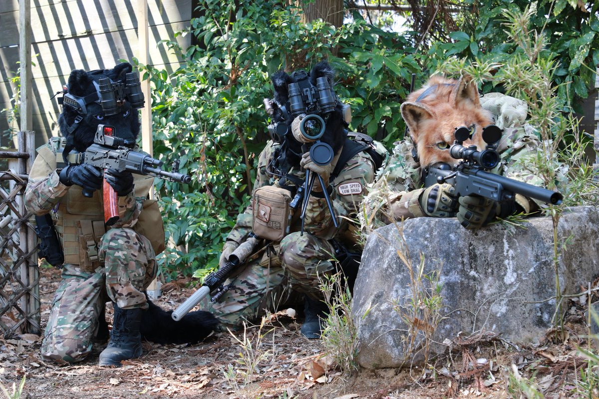 ひえい tweet media