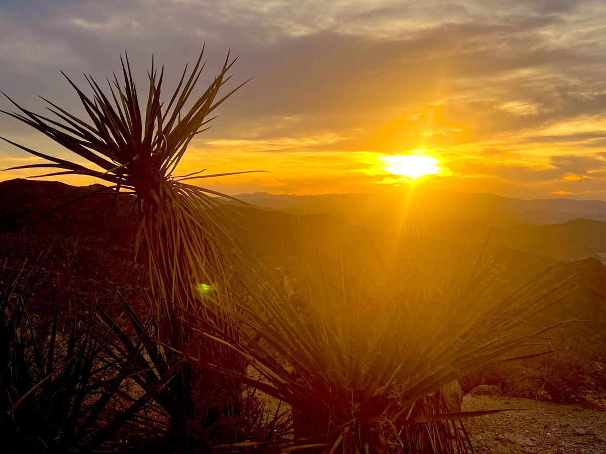 Flawwed1 tweet media