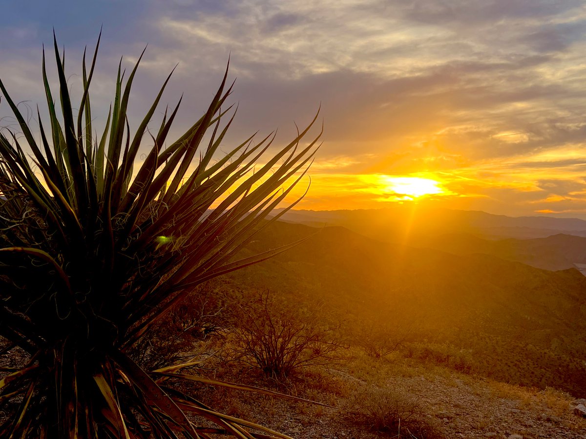 Flawwed1 tweet media