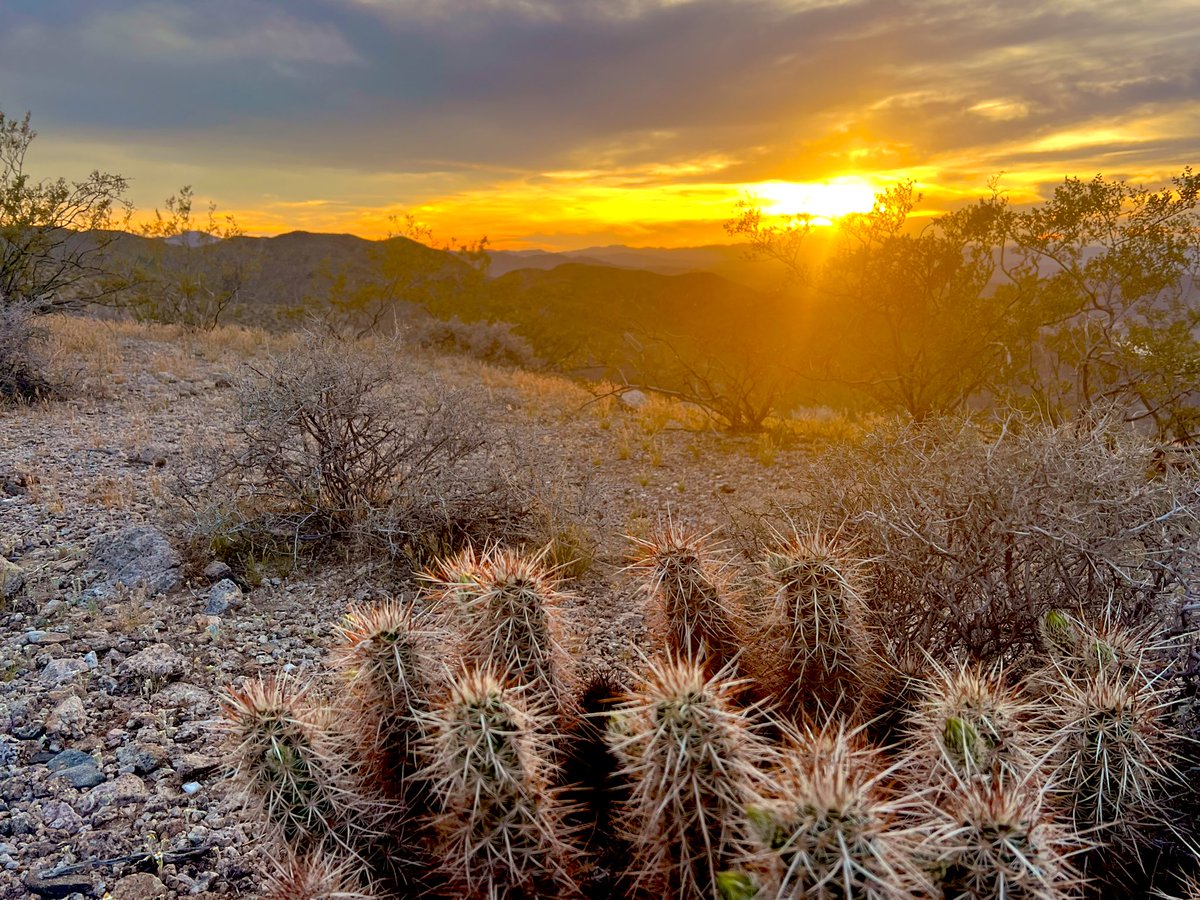 Flawwed1 tweet media