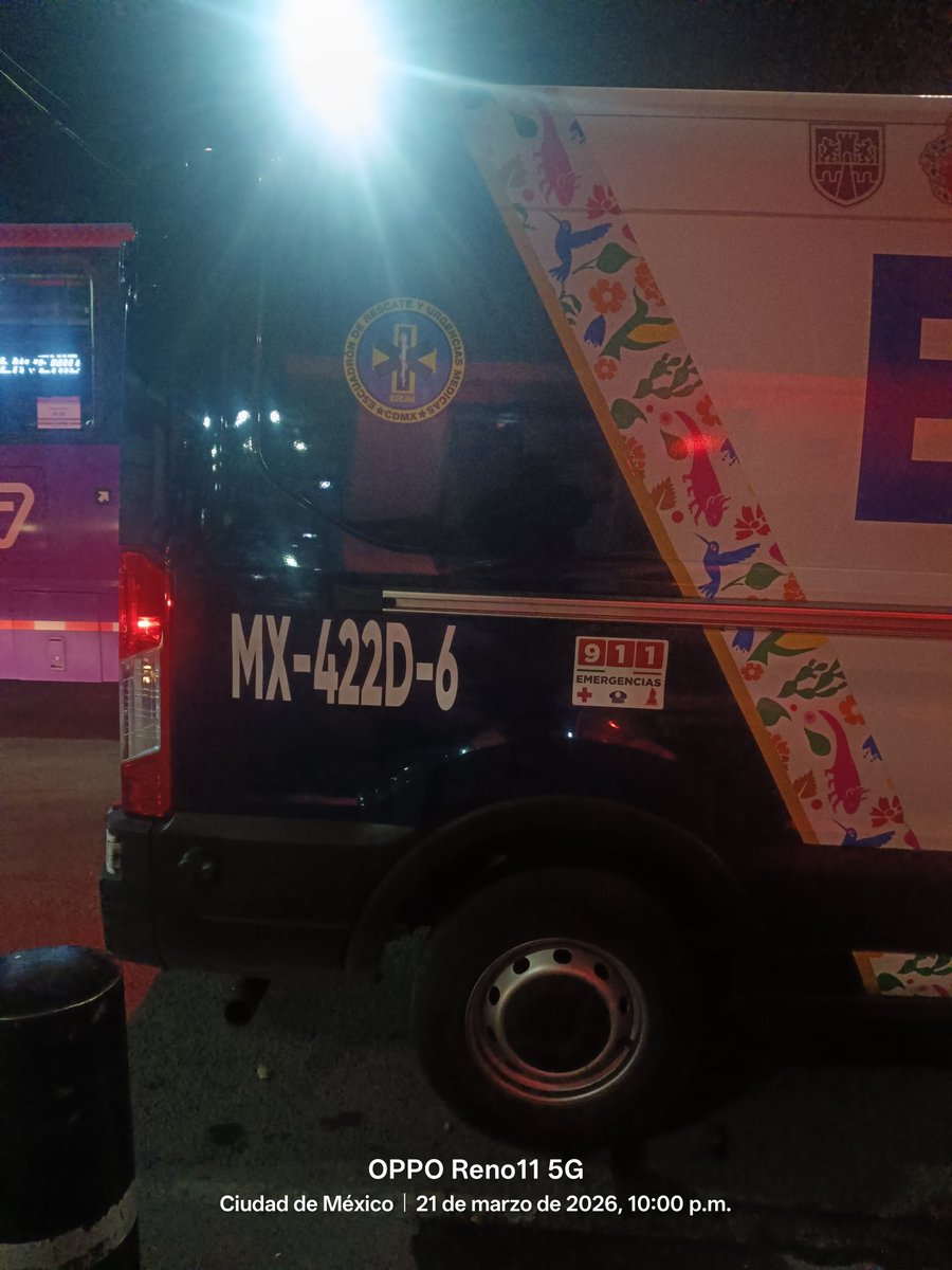 Tx Dn Gato Y Su Pandilla tweet media