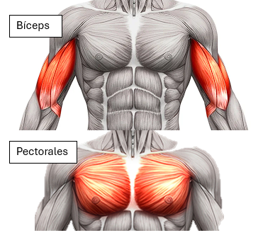Gabito4110x's tweet photo. @gamer_dark11 El bárbaro del barril besando sus bíceps ❌
El bárbaro del barril besando sus pectorales ✅ https://t.co/XRllLIGgVa
