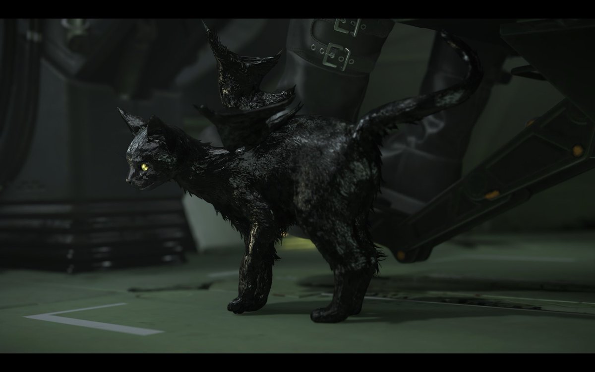 TheBlindGunner tweet media