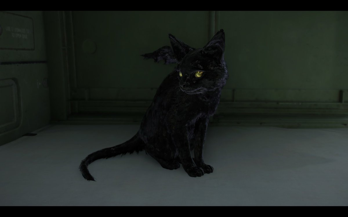 TheBlindGunner tweet media