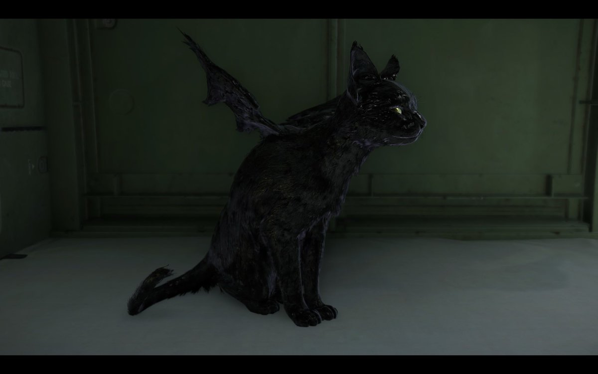 TheBlindGunner tweet media