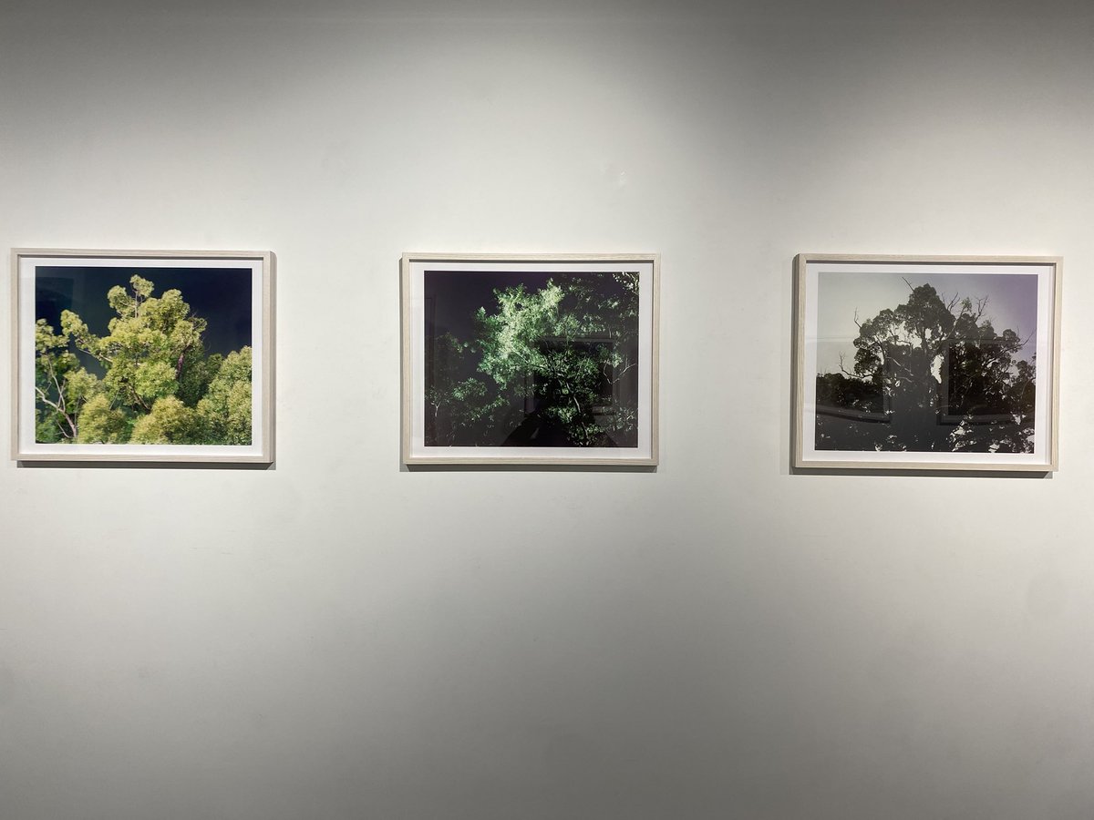 パープル/PURPLE tweet media