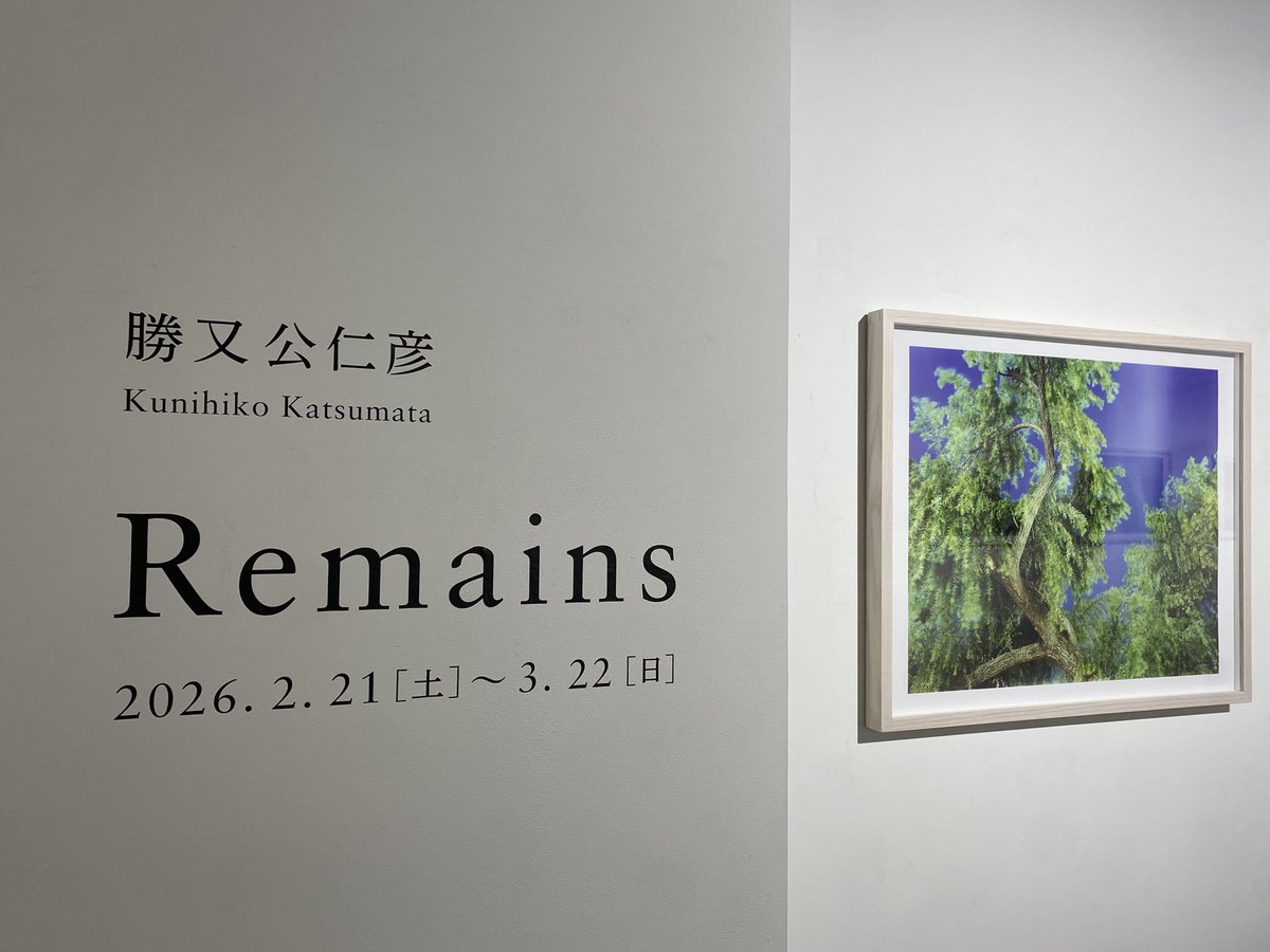 パープル/PURPLE tweet media