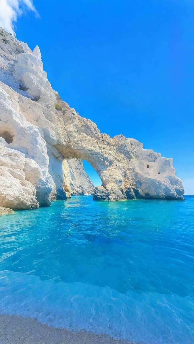 Pure Nature tweet media