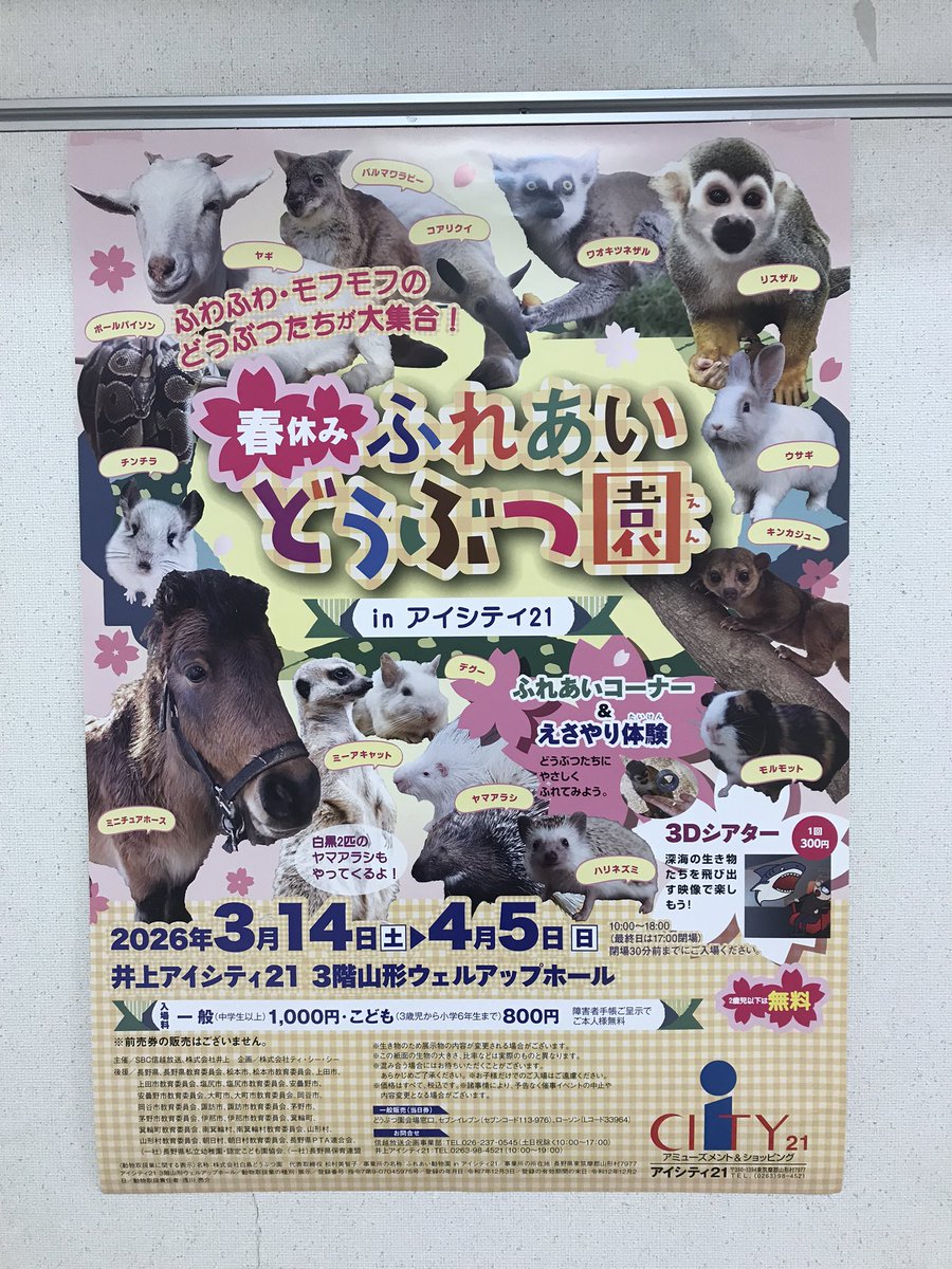 mikolove5685ken's tweet photo. 今日も賑わっております♪
3連休最終日是非皆さんお越しくださいね!
#SBCEvent
#SBCイベント
#ふれあい動物園
#アイシティ21 https://t.co/h0qH7oGAFj