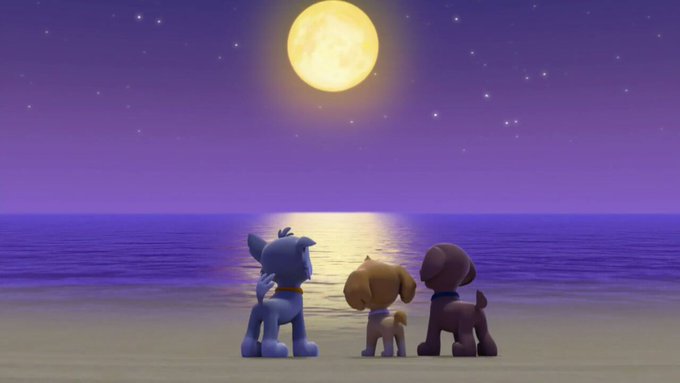 Adorable Skye tweet media