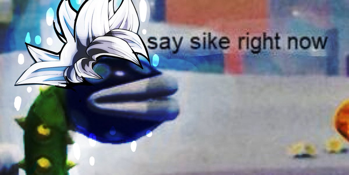 Treelurer 🇵🇷❤️ tweet media