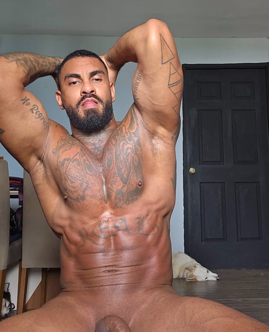 Muscle Worship tweet media