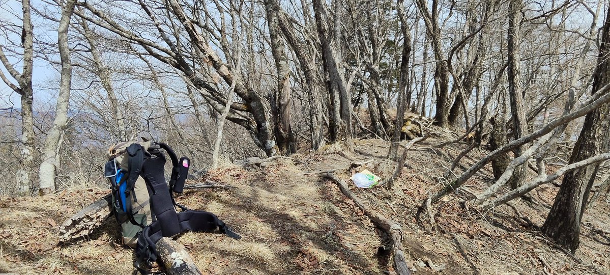 やまばー tweet media