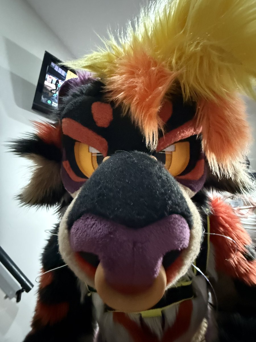 🫧Remix!🫧 tweet media