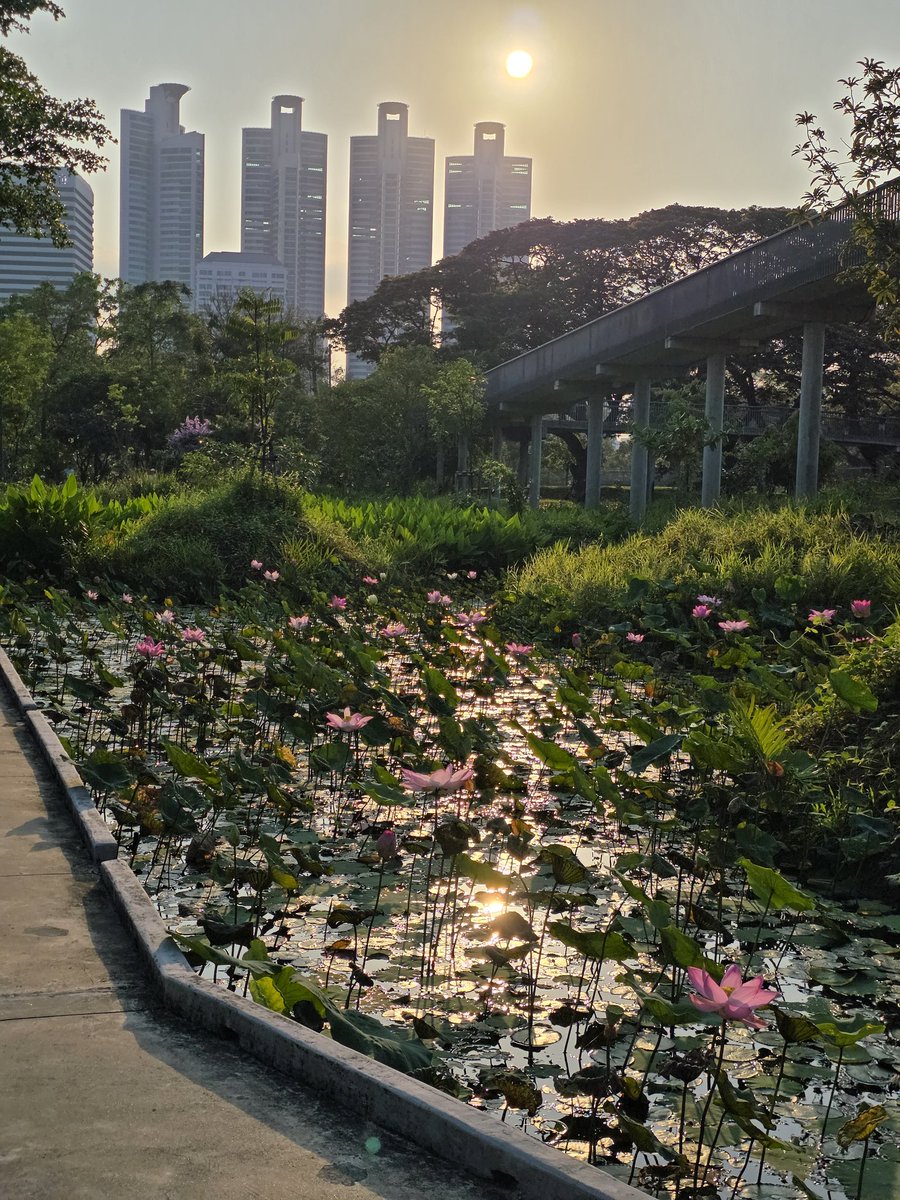 สวัสดีวันอาทิตย์