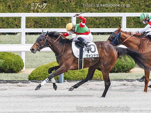 競馬ブックネットSHOP tweet media