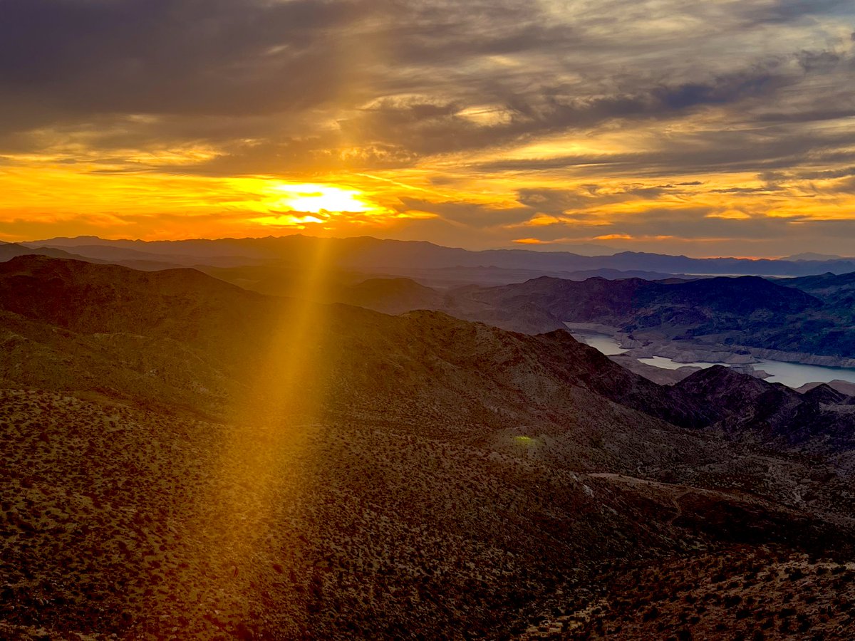 Flawwed1 tweet media