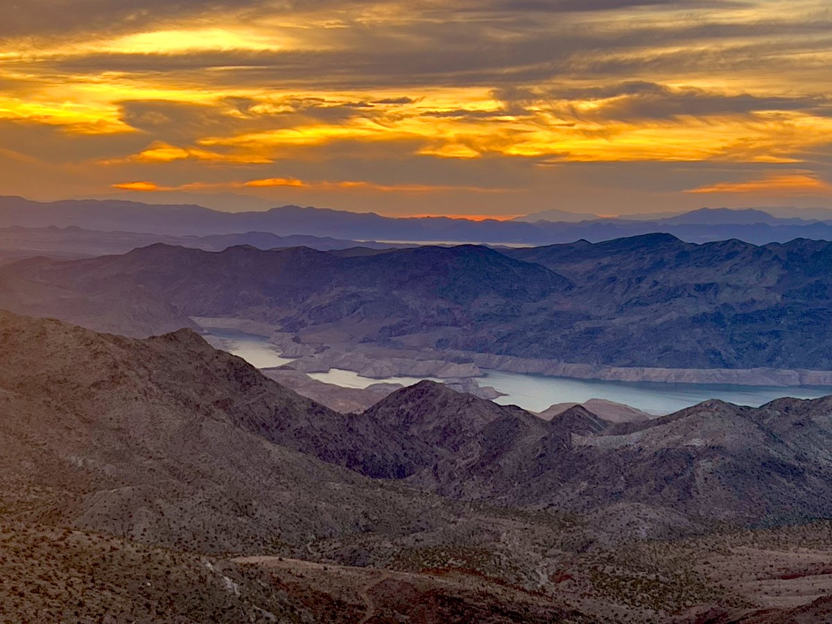 Flawwed1 tweet media