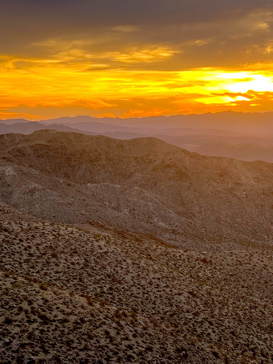 Flawwed1 tweet media