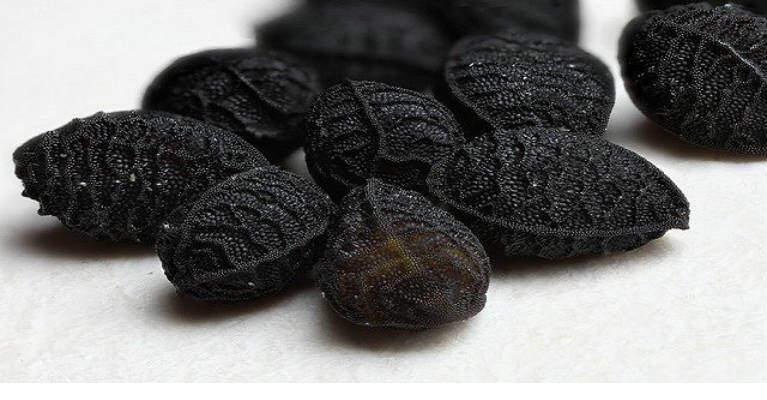 Anne cardynale ou @Bellinarg4 tweet media