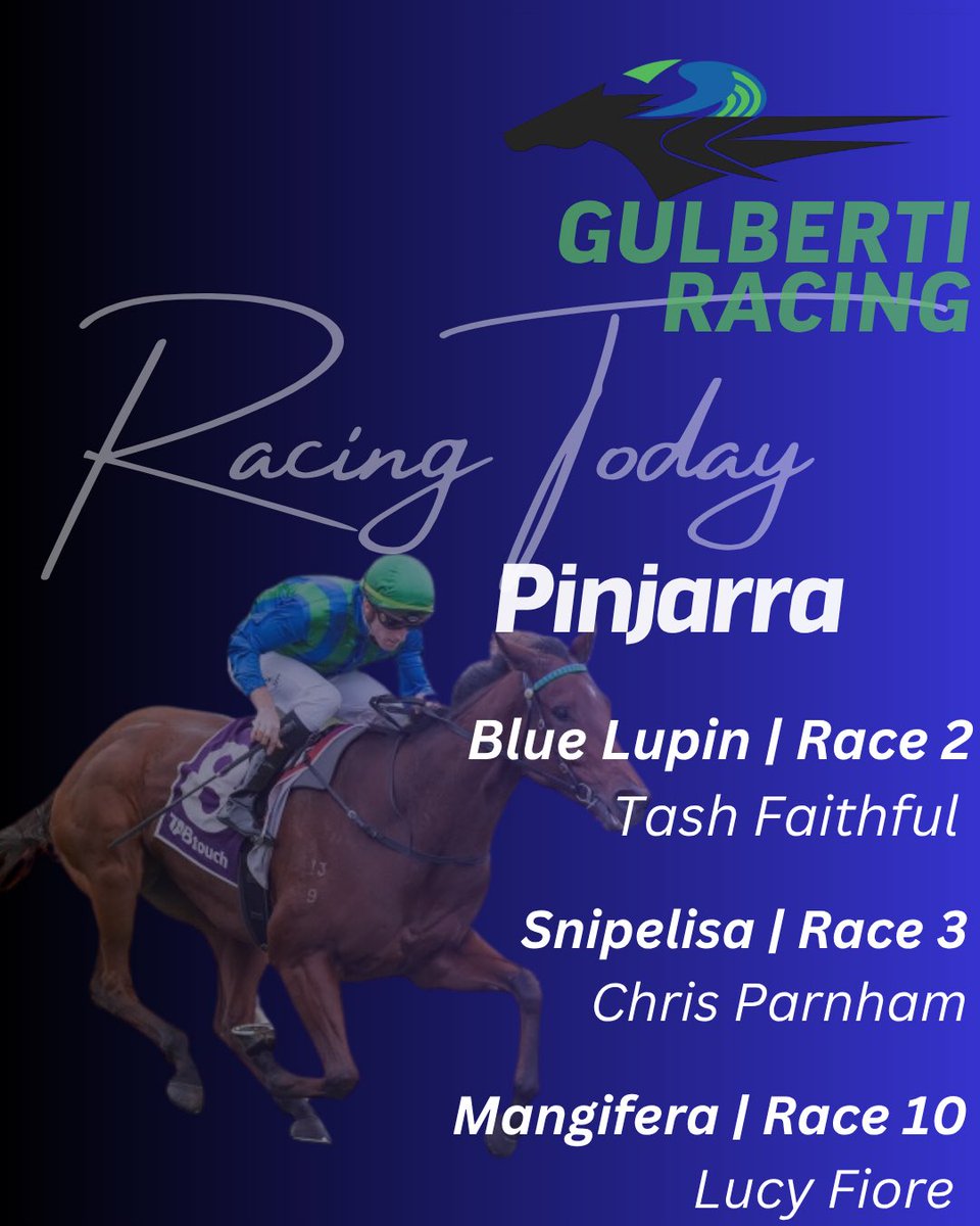 Gulberti Racing tweet media