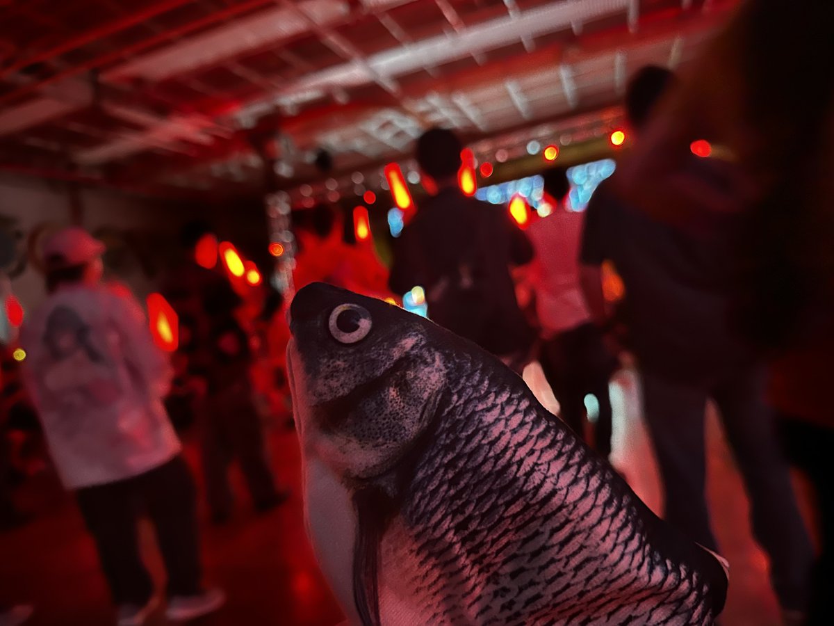 Socks Agency tweet media