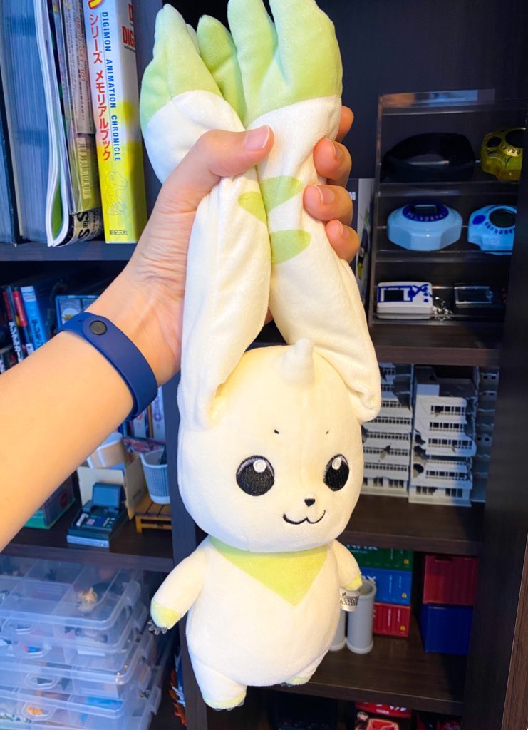 プレアデス星団 tweet media