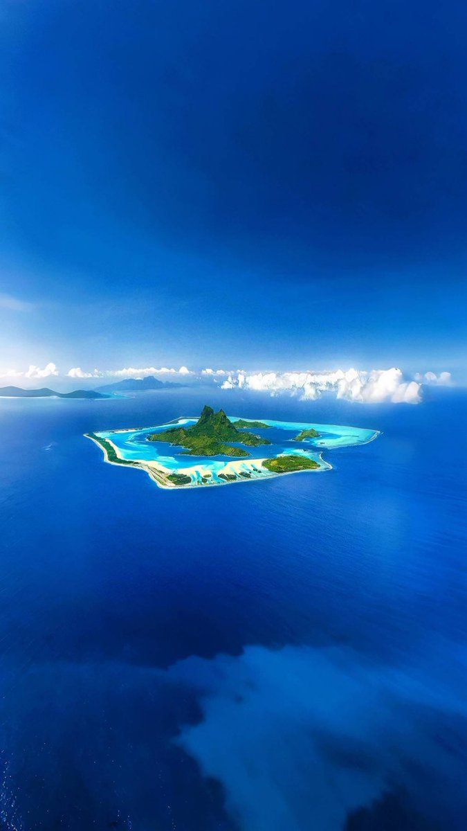 The Nature tweet media