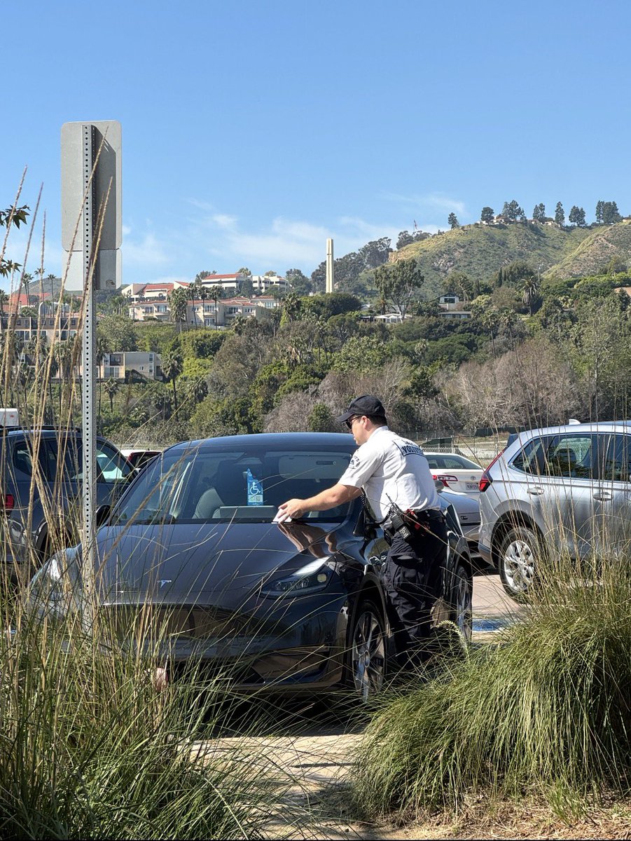 Louise Kistner tweet media