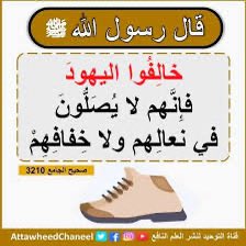 Mohamed Abdullah tweet media