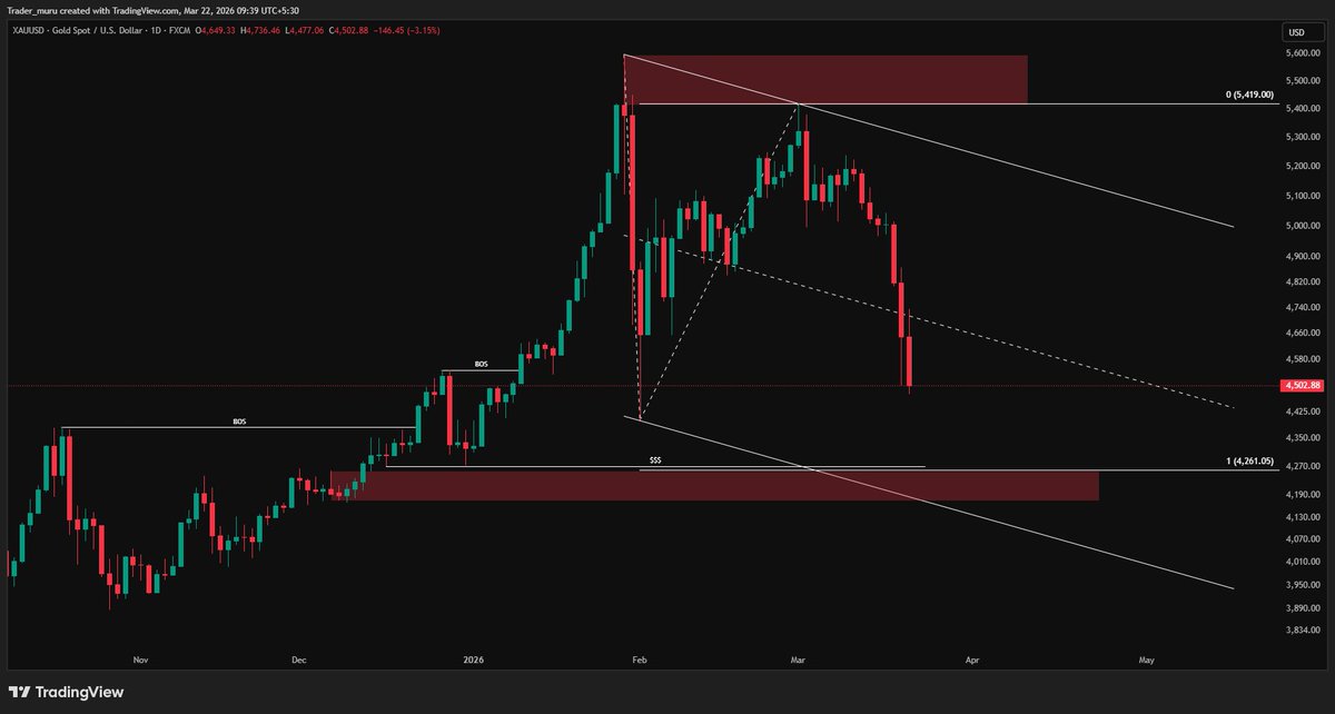 Trader Muru tweet media