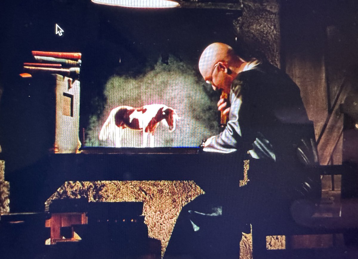 Damien 🦇 tweet media