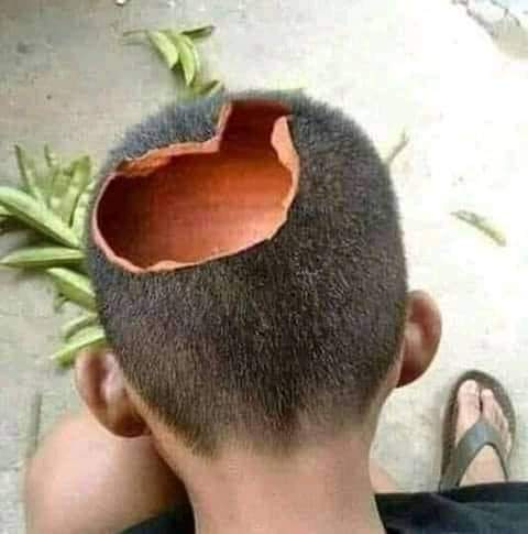 Talmistillo tweet media