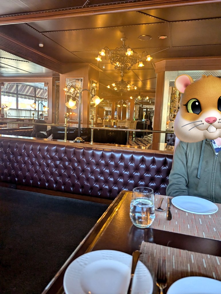 只想躺平的狐泥🦊 tweet media