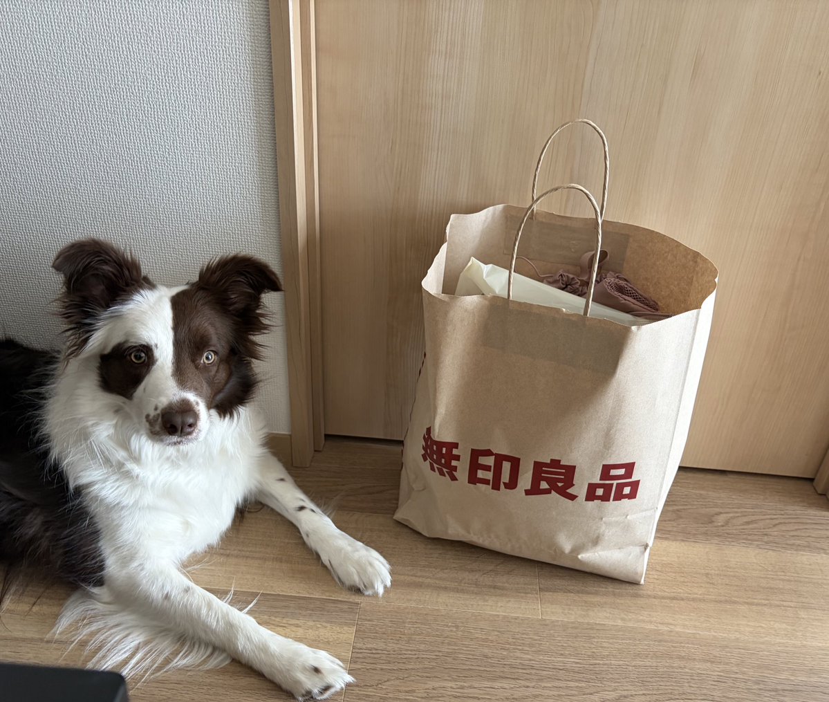 怠け者でよく食べる人妻りんりん🦥 tweet media