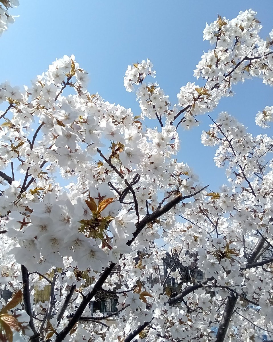 浜田圭亮 tweet media