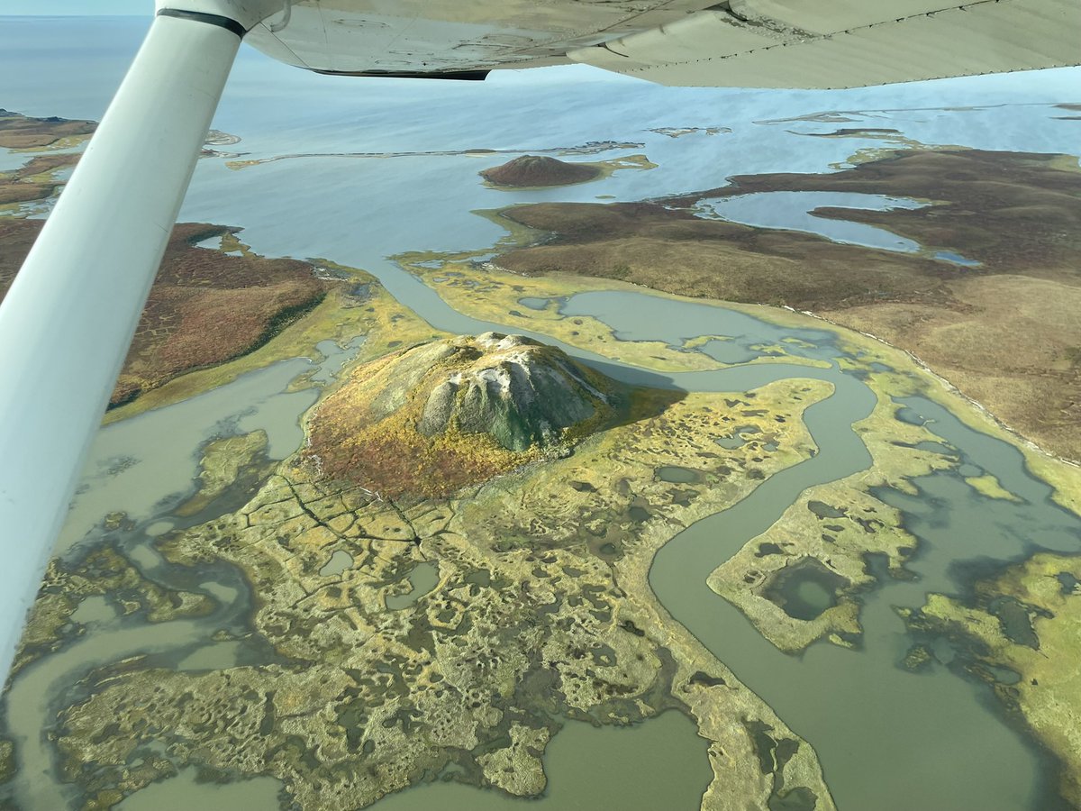 Luke Montalbano 🇨🇦 tweet media