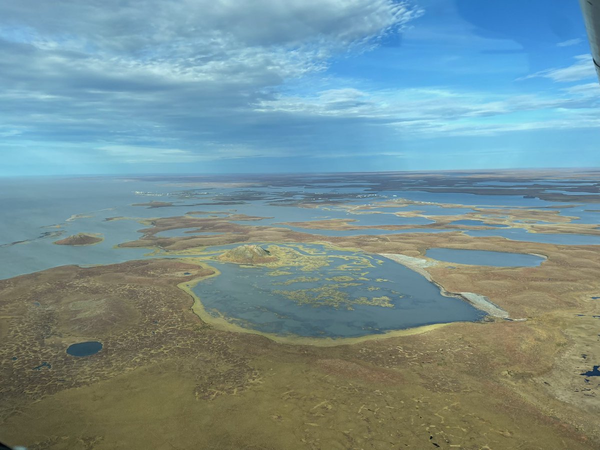 Luke Montalbano 🇨🇦 tweet media