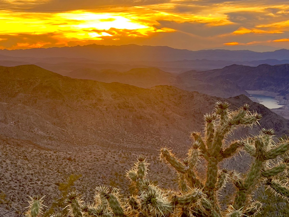 Flawwed1 tweet media