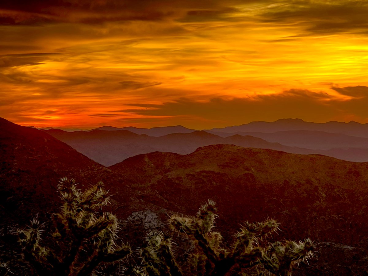 Flawwed1 tweet media