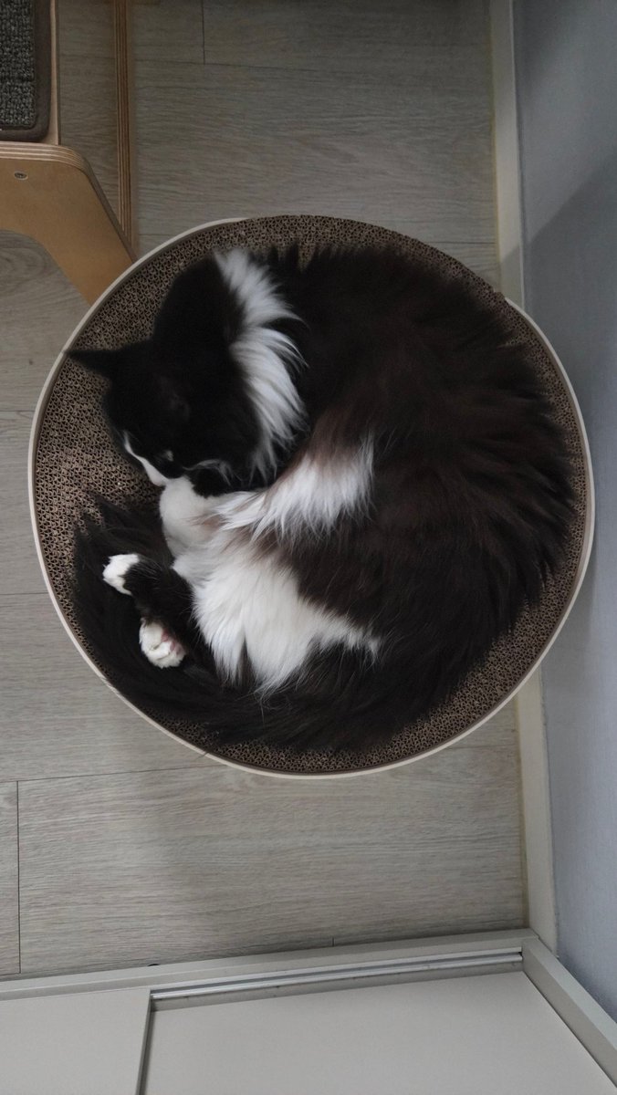 오늘도 겨우 tweet media