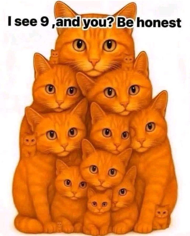 Trumplican 4eva... tweet media