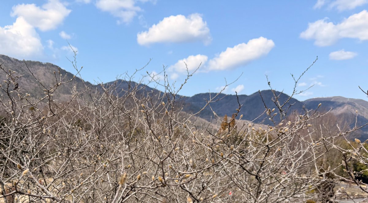 チョコみんと (@rinalisnote) on Twitter photo 