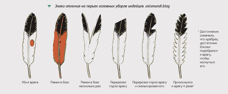 Кэналлийский Енот 🦝🍷🗡️ tweet media