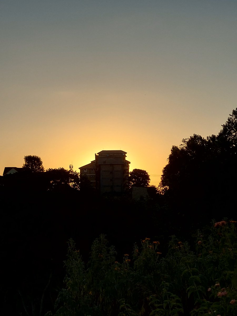 cheptoo😆 tweet media