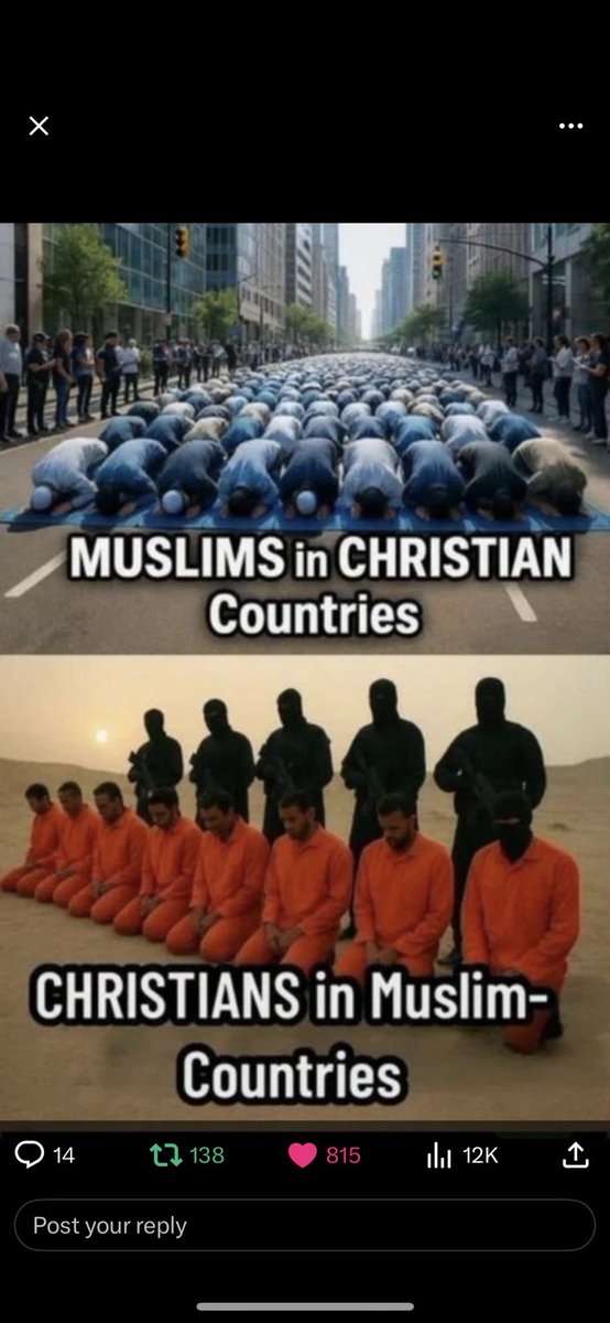 Sir Knight tweet media