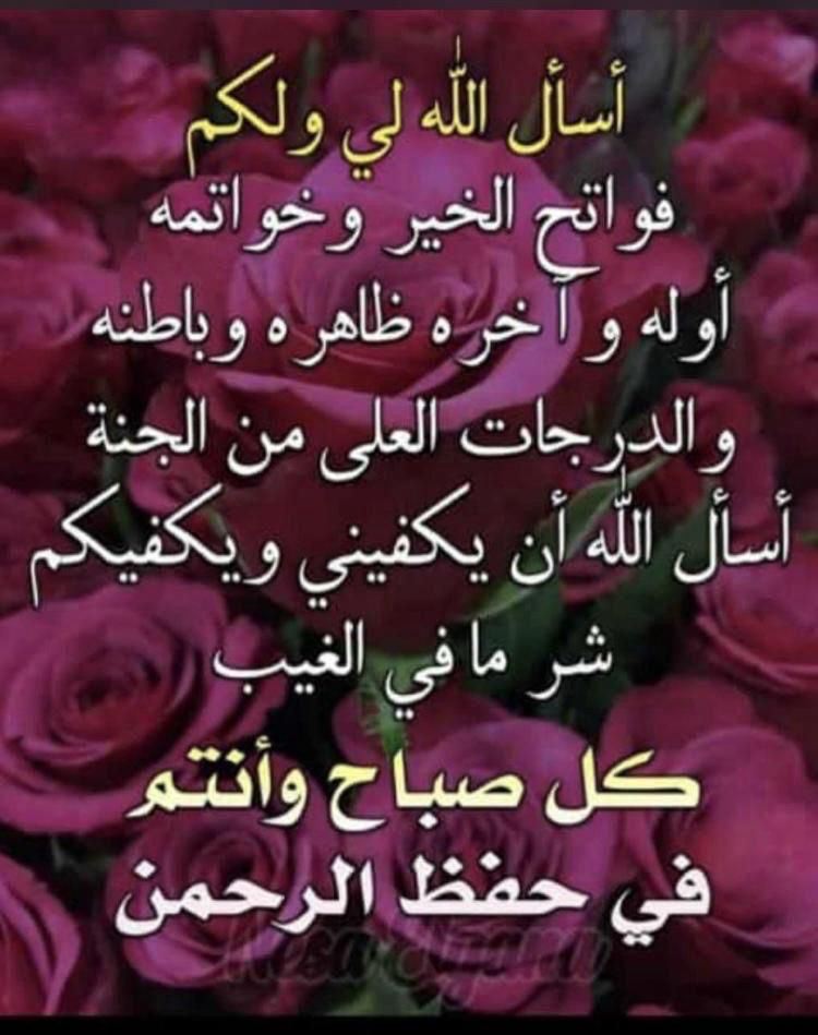محمد بن يحيى عجيبي tweet media