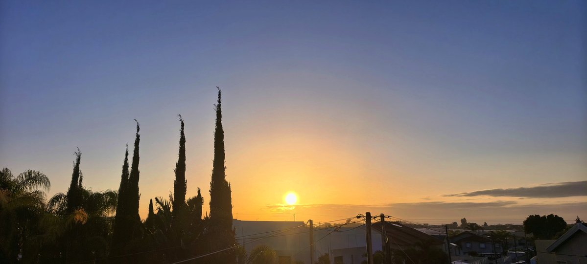 דבורה💚🌳💛🇮🇱 tweet media